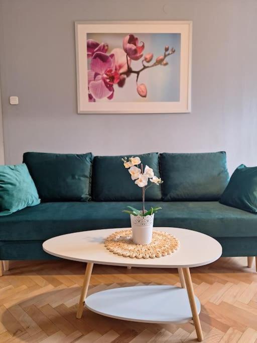 Piekne Sloneczne Mieszkanie W Centrum Wroclawia Apartament Wrocław